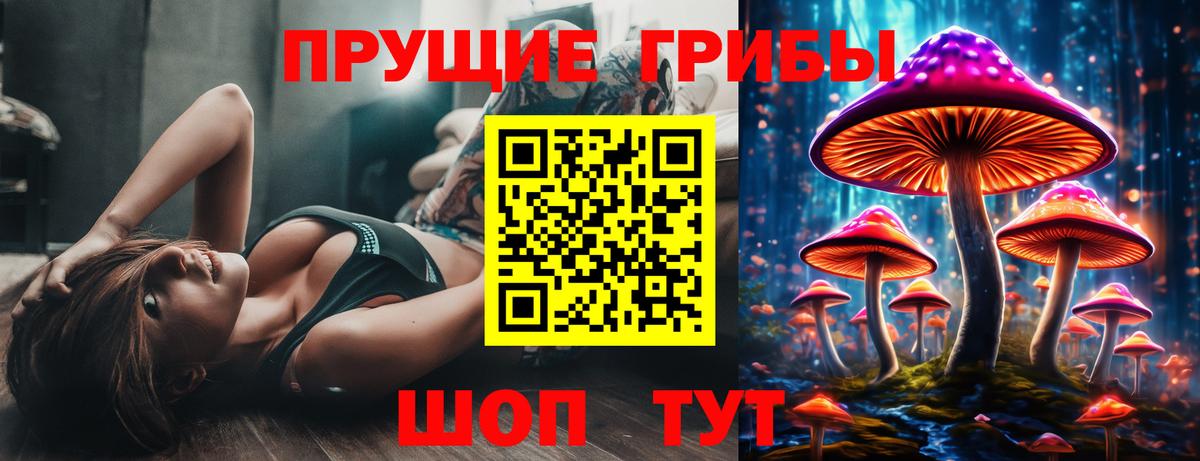 Кудымкар  Галлюциногенные грибы Psilocybe  Псилоцибиновые грибы Psilocybe  Вход с VPN 