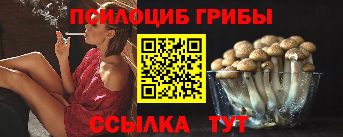 Псилоцибиновые грибы мухоморы Кудымкар